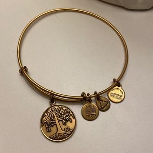 Alex and Ani Tree of Life Bracelet